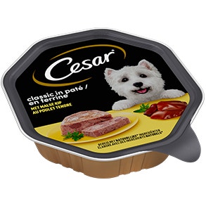 Cesar tray classic kip150g