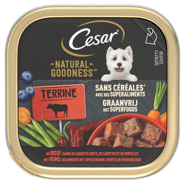 CESAR® NATURAL GOODNESS™ Terrine met rund, gegarneerd met sperziebonen, wortelen en bosbessen image 1
